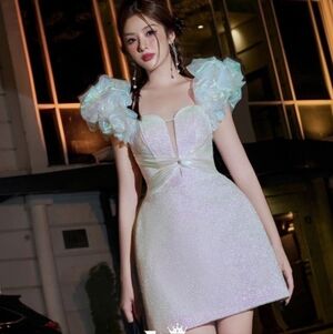 Lovelyn Iridescent Mini Dress with Structed Fit Puffy Sleeve Small Designer